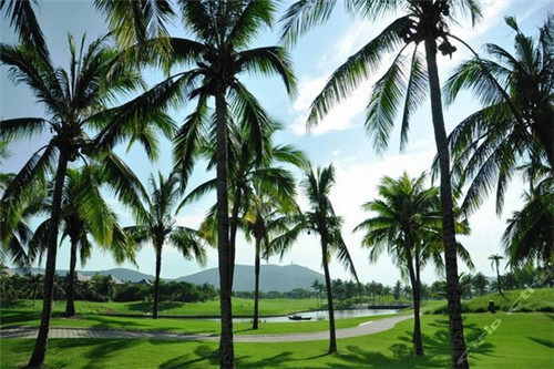 燊公煮单人小火锅