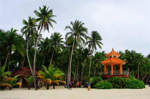 牛丼日式牛肉饭