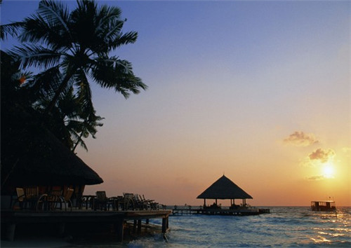 张大师鸭爪爪火锅