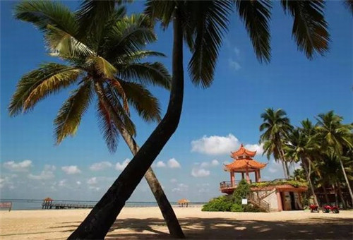 乌茶邦特色茶饮