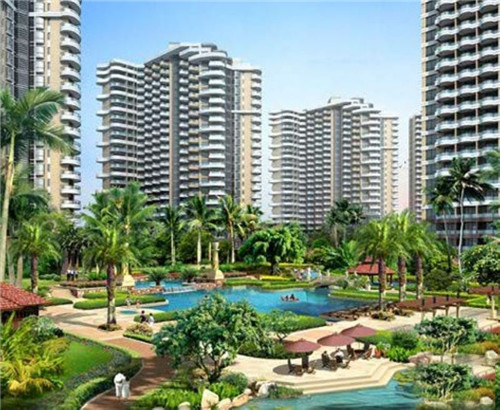 拉丁果机器，拉丁果加盟费多少