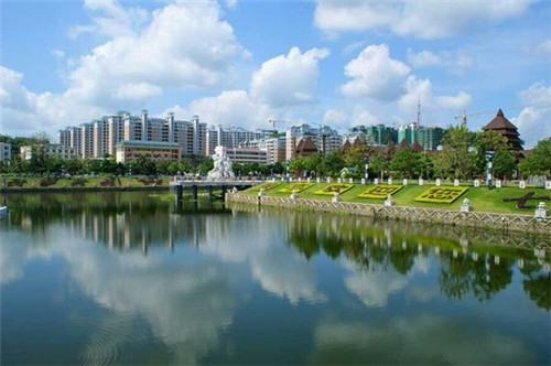 groupie有吉他手的意思吗（吉他parlor什么意思）